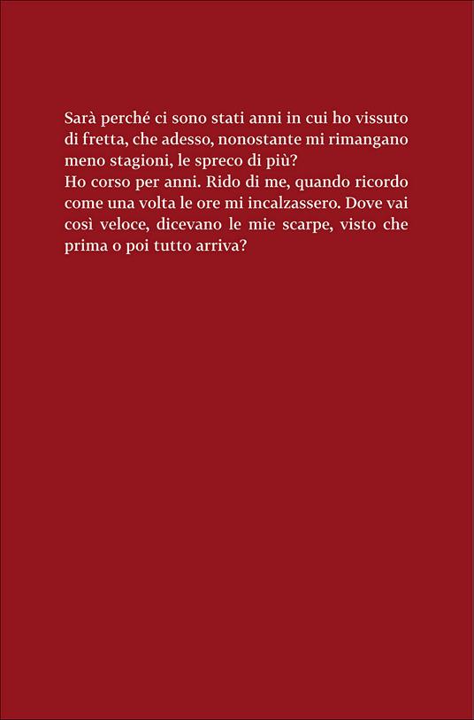 Il vento delle ore - Ángeles Mastretta,Eleonora Mogavero - ebook - 3