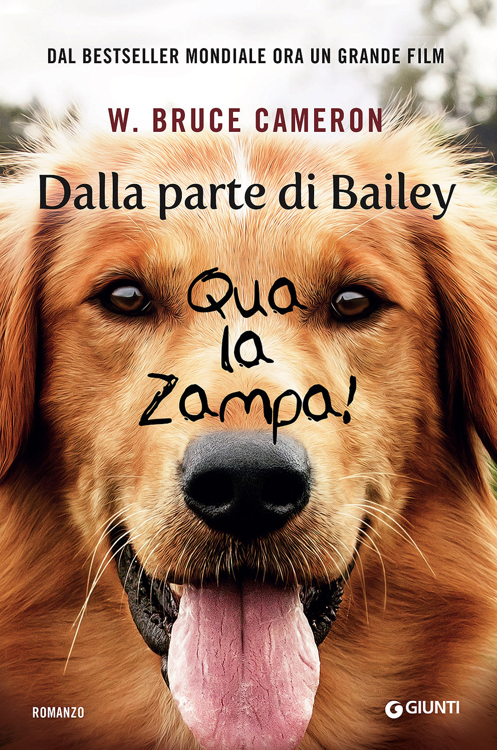 Libraccio