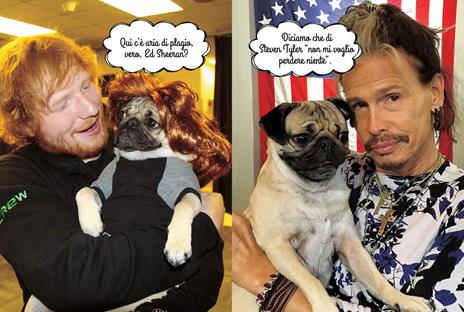 Un amore di carlino. Doug the pug - Leslie Mosier - 4