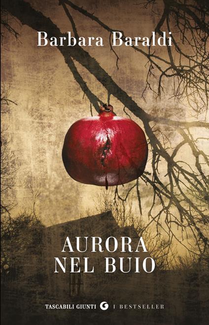 Aurora nel buio - Barbara Baraldi - ebook