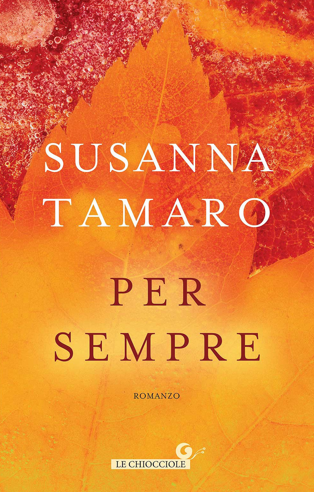 Libraccio