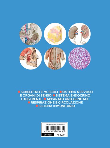 Anatomia - Adriana Rigutti - 2