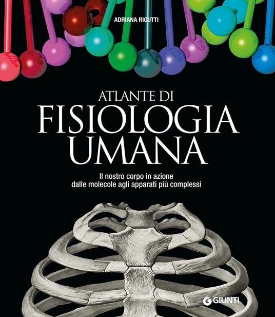Atlante di fisiologia umana - Adriana Rigutti - copertina