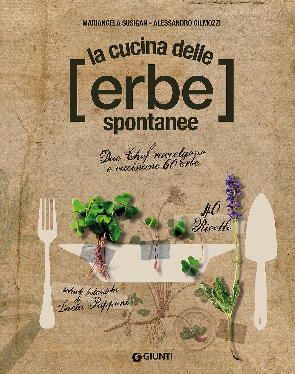 Libraccio