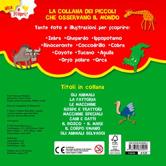 Gli animali selvaggi. Ediz. a colori - Francesca Pellegrino - 2