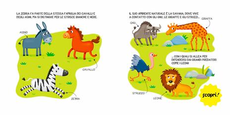 Gli animali selvaggi. Ediz. a colori - Francesca Pellegrino - 5