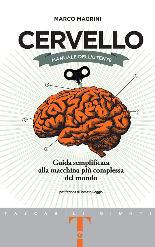Cervello. Manuale dell'utente. Guida semplificata alla macchina più complessa del mondo - Marco Magrini - ebook