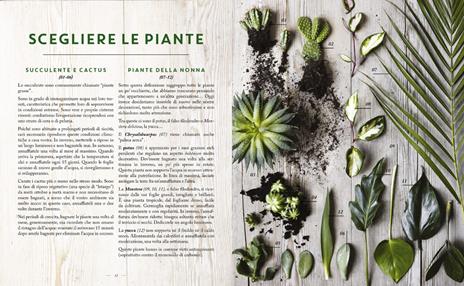 Home jungle. Decorare e arredare la casa con le piante - Sonia Lucano - 3