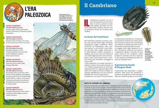 Preistoria. L'evoluzione della vita sulla Terra - 5