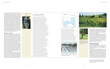 Atlante geologico dei vini d'Italia - 5