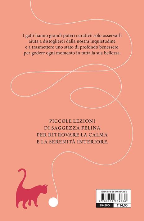 L'imperturbabile placidità del gatto. Imparare la tranquillità dai nostri amici felini - Véronique Aïache - 4