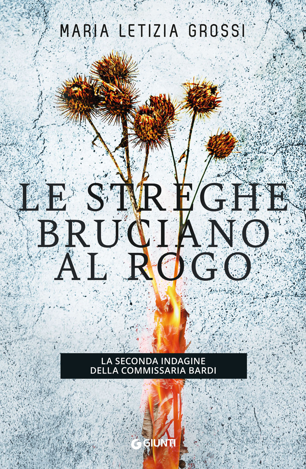 Libraccio