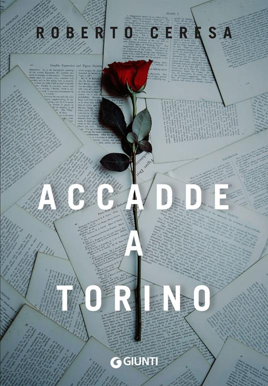 Accadde a Torino - Roberto Ceresa - ebook