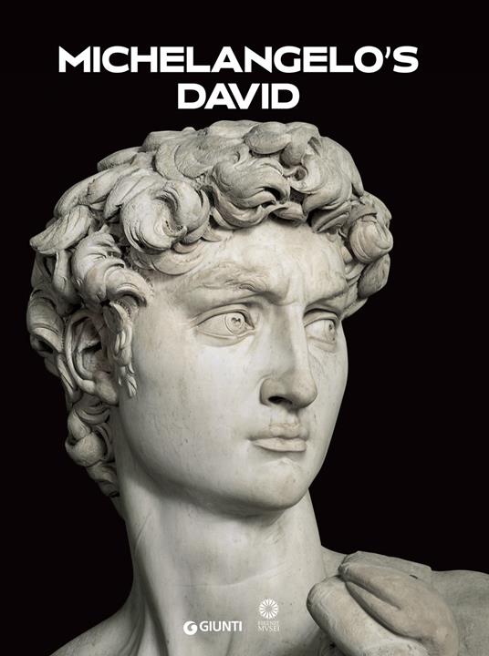 Michelangelo's David - Franca Falletti - copertina