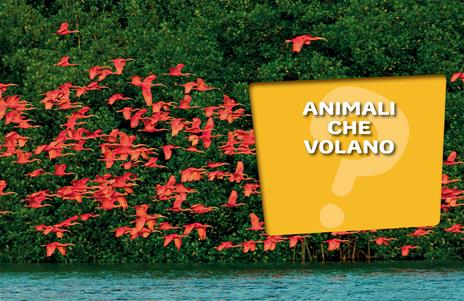 Animali. 1000 domande 1000 risposte - Elisa Prati,Mariagrazia Bertarini,Paola Fabris - 7