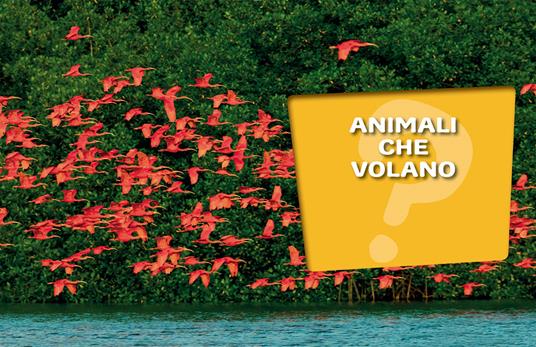 Animali. 1000 domande 1000 risposte - Elisa Prati,Mariagrazia Bertarini,Paola Fabris - 7