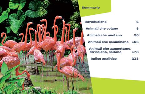 Animali. 1000 domande 1000 risposte - Elisa Prati,Mariagrazia Bertarini,Paola Fabris - 4