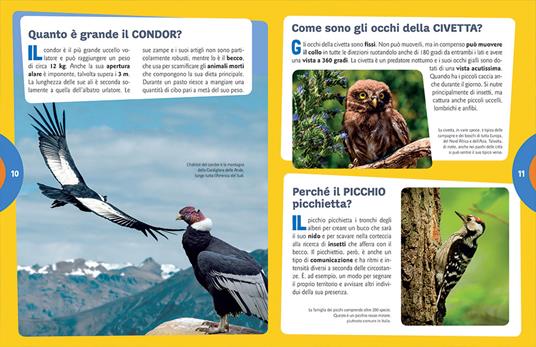Animali. 1000 domande 1000 risposte - Elisa Prati,Mariagrazia Bertarini,Paola Fabris - 8