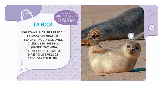 Animali del mondo. 6 versi da ascoltare! Primi suoni. Ediz. a colori - Silvia D'Achille - 4