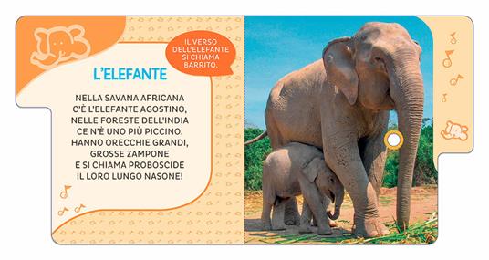 Animali del mondo. 6 versi da ascoltare! Primi suoni. Ediz. a colori - Silvia D'Achille - 5