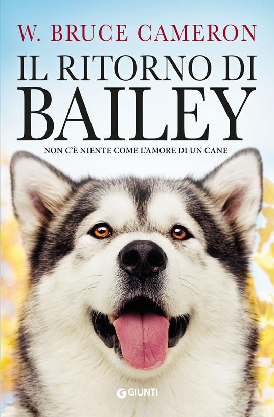 Il ritorno di Bailey - William Bruce Cameron - copertina