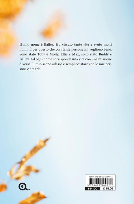 Il ritorno di Bailey - William Bruce Cameron - 3