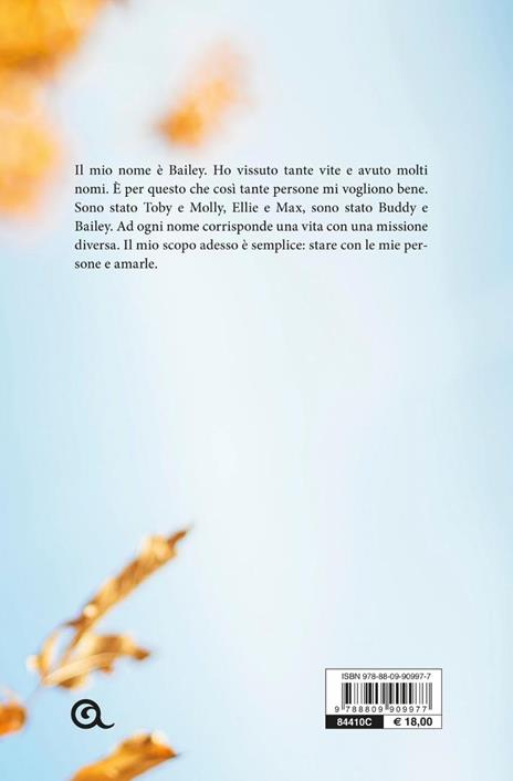 Il ritorno di Bailey - William Bruce Cameron - 4