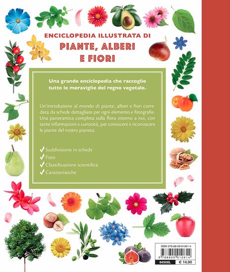 Enciclopedia illustrata di piante, alberi e fiori - Emanuela Busà - 2