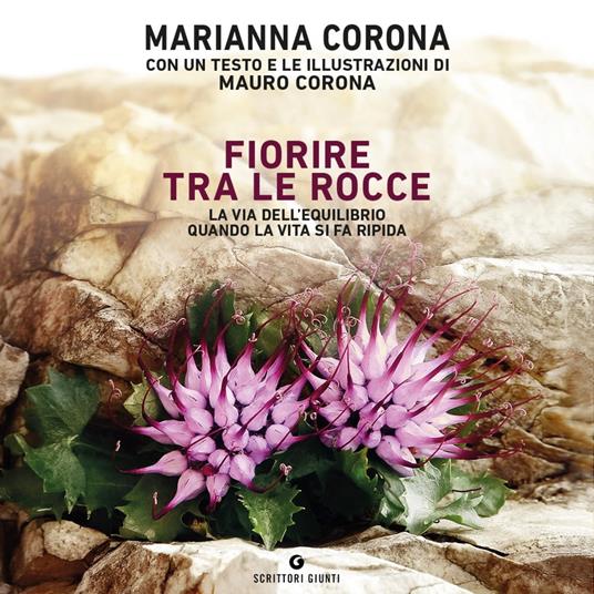 Fiorire tra le rocce