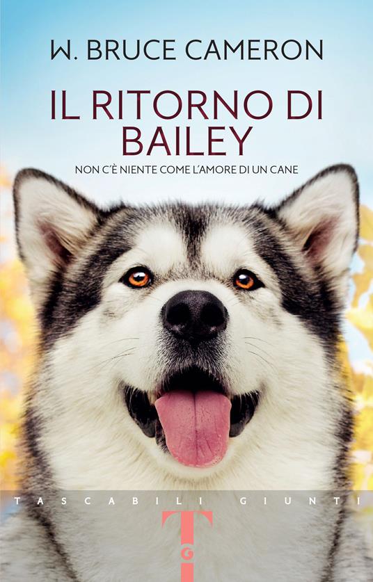 Il ritorno di Bailey - William Bruce Cameron - copertina