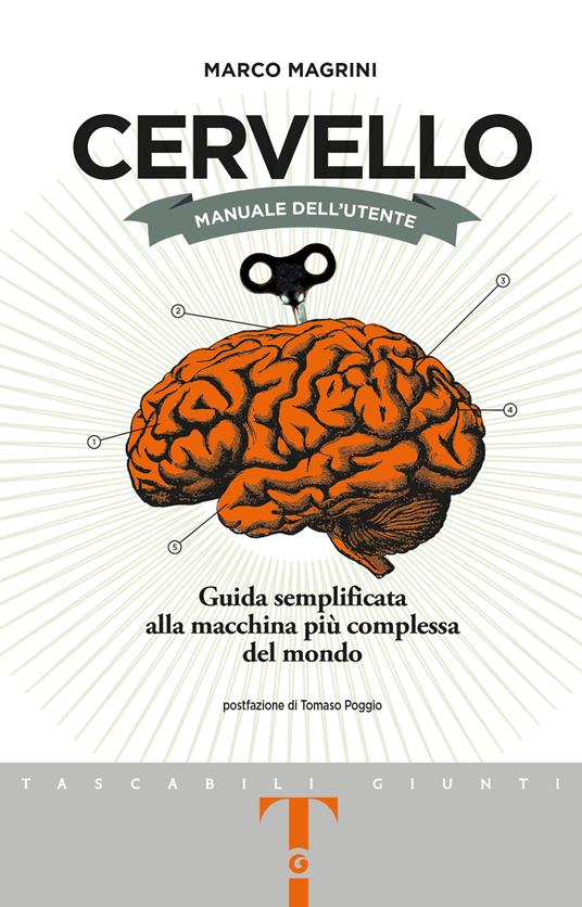 Cervello. Manuale dell'utente. Guida semplificata alla macchina più complessa del mondo - Marco Magrini - copertina