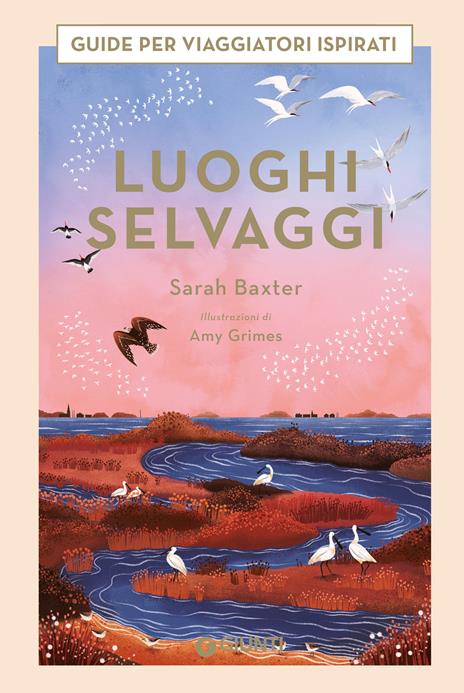 Luoghi selvaggi. Guide per viaggiatori ispirati. Ediz. a colori - Sarah Baxter - copertina