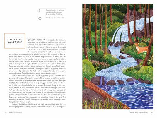 Luoghi selvaggi. Guide per viaggiatori ispirati. Ediz. a colori - Sarah Baxter - 2