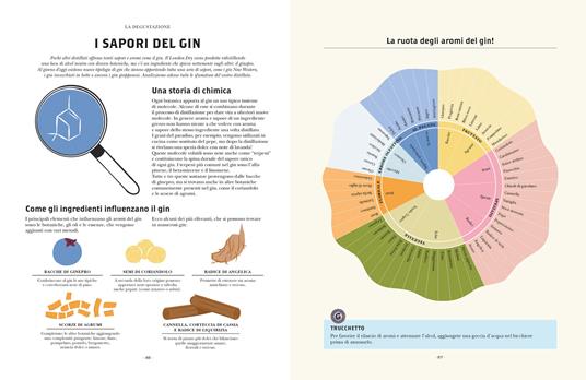 Gin. Manuale per aspiranti intenditori. Guida illustrata per appassionati - Mickaël Guidot - 4