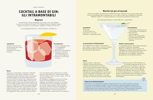 Gin. Manuale per aspiranti intenditori. Guida illustrata per appassionati - Mickaël Guidot - 5