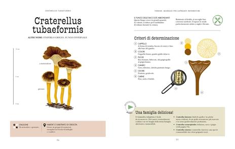 Funghi. Manuale per aspiranti intenditori. Ediz. a colori - Victor Coutard - 4