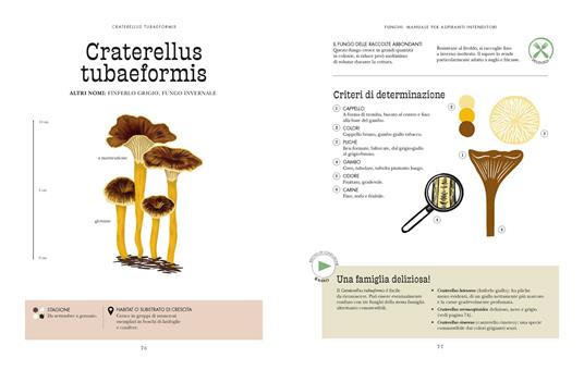 Funghi. Manuale per aspiranti intenditori. Ediz. a colori - Victor Coutard - 4