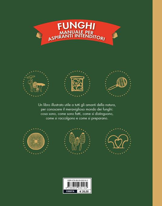 Funghi. Manuale per aspiranti intenditori. Ediz. a colori - Victor Coutard - 6