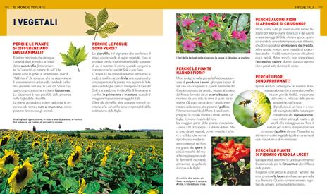 Il grande libro dei perché - Michele Lauro - 6