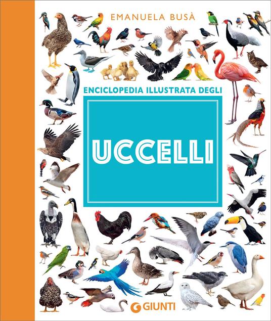 Enciclopedia illustrata degli uccelli - Emanuela Busà - ebook