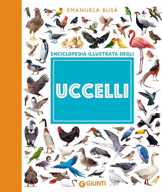 Uccelli. Enciclopedia illustrata - Emanuela Busà - copertina