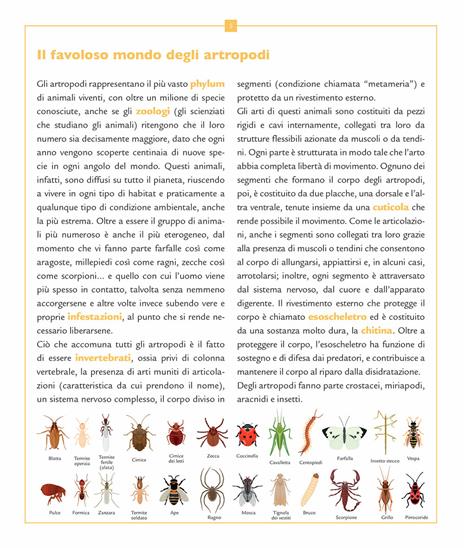 Insetti e altri piccoli artropodi - Emanuela Busà - 4