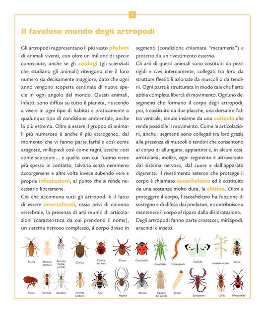 Insetti e altri piccoli artropodi - Emanuela Busà - 4