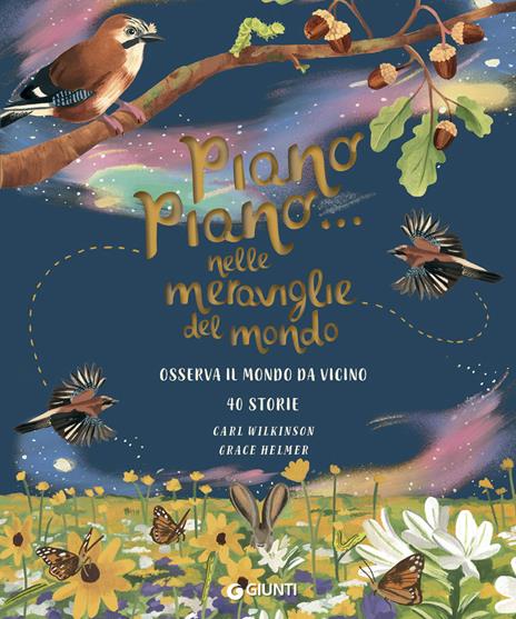 Piano piano... Nelle meraviglie mondo. Osserva il mondo da vicino. Ediz. a colori - Carl Wilkinson - copertina