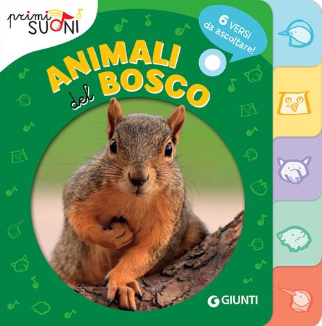 Animali del bosco. Primi suoni - Silvia D'Achille - copertina