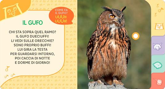 Animali del bosco. Primi suoni - Silvia D'Achille - 4