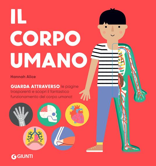 Il corpo umano. Ediz. a colori - Alice Hannah - copertina