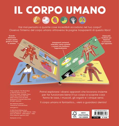 Il corpo umano. Ediz. a colori - Alice Hannah - 2