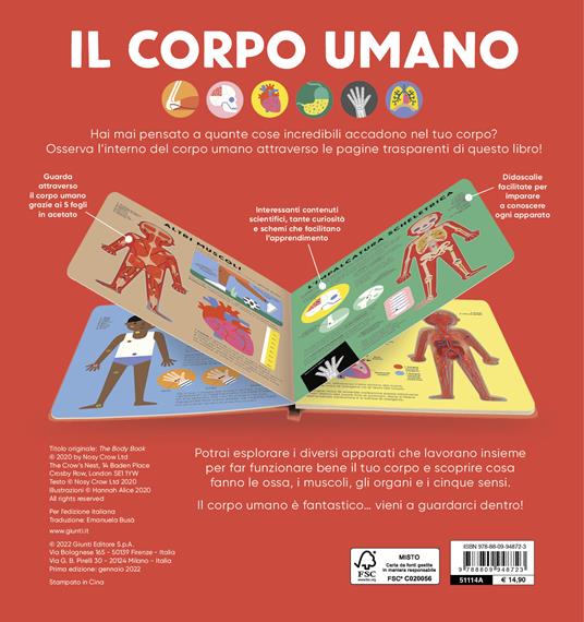 Il corpo umano. Ediz. a colori - Alice Hannah - 2