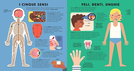 Il corpo umano. Ediz. a colori - Alice Hannah - 4